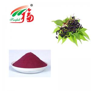 China Elderberry Extract 25% Anthocyanidins Berry Extract Anthocyanin Powder on sale