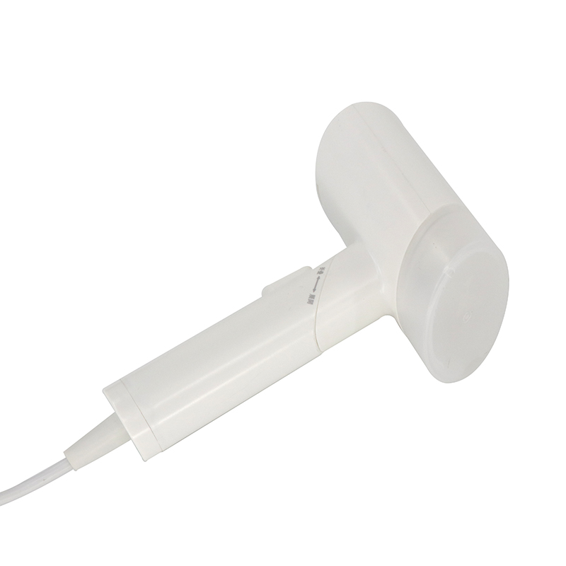 150ml Water Tank Capacity Household Mini Garment Clothes Steamer with Custom Design