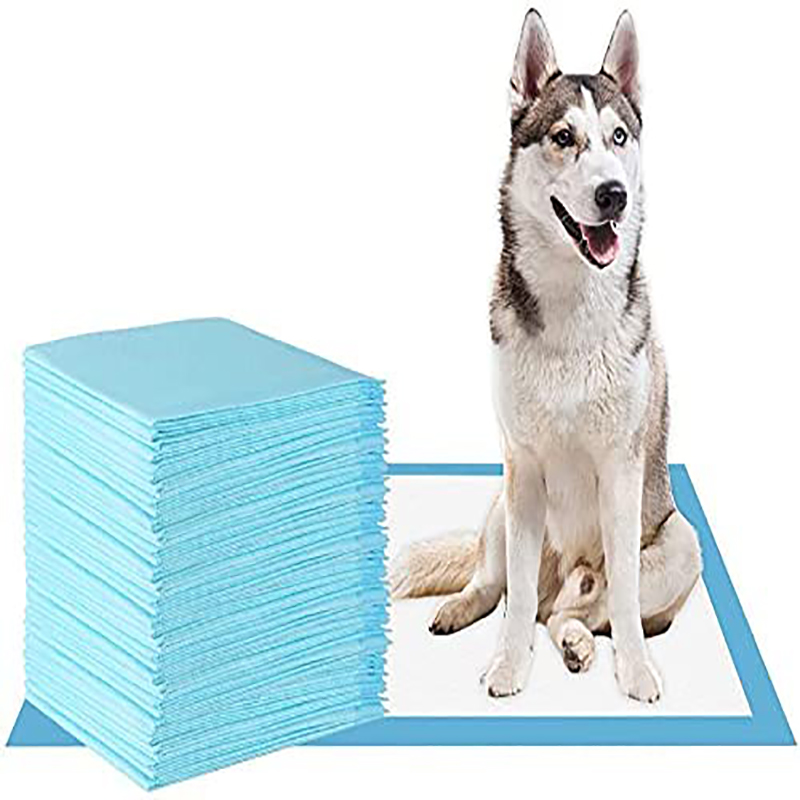 Absorbent Urine Pads for Puppy Pet Customized Private Label Pet Dog Pad Training Diaper