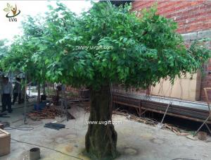 China UVG glassfiber indoor green fake banyan tree tall silk trees for shopping center decoration GRE054 on sale