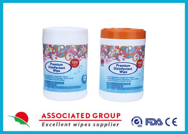 Powerful Protection Easy Application Professional Grade Disinfectant Bucket