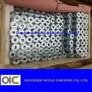 Spur Gear with Heat Treatment