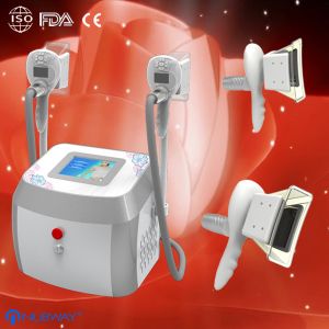 Quality Multifunction Cryolipolysis Slimming Machine / portable zenat slimming systems wholesale