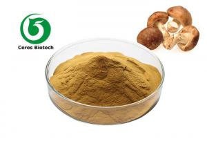 China Health Care Pharmaceutical Shiitake Mushroom Extract 40% Polysaccharide on sale
