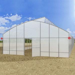China Anti Dripping Plastic Film Greenhouse 10m Width For Tomato Planting on sale