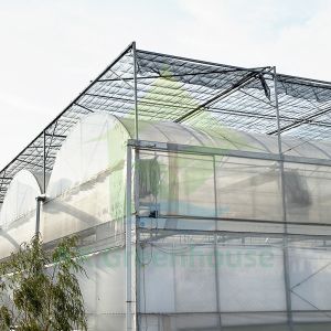 Plastic Poly Tunnel Agricultural Multi-span Blueberry Customized Greenhouse