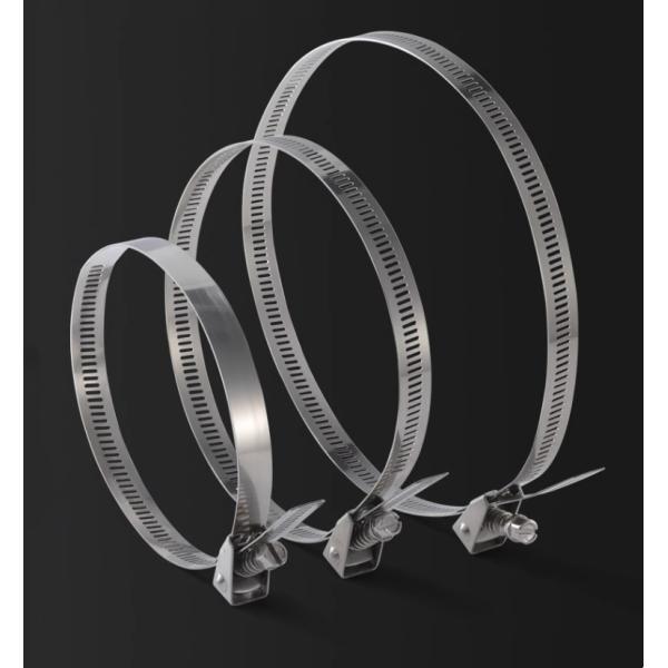 Self-locking Stainless Steel Cable Ties for Heavy Duty Applications 4.6*300mm SS304/316 Fscat