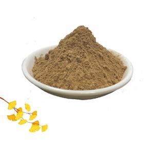 Quality Herb 24 Flavone Ginkgo Biloba Leaf Extract 6% Lactones wholesale
