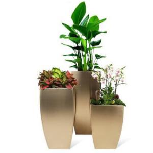 Quality Arc Shaped Metal Bucket Flower Pot Hairline Stainless Steel Garden Pots wholesale