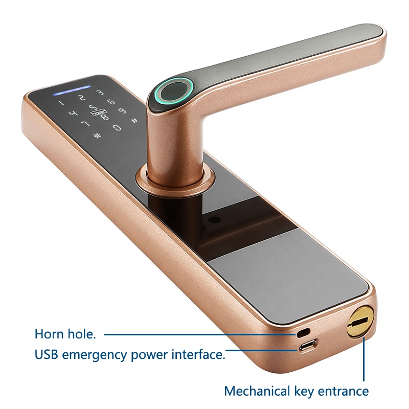 Ttlock Tuya App 35mm Smart Electronic Lock Wifi Password
