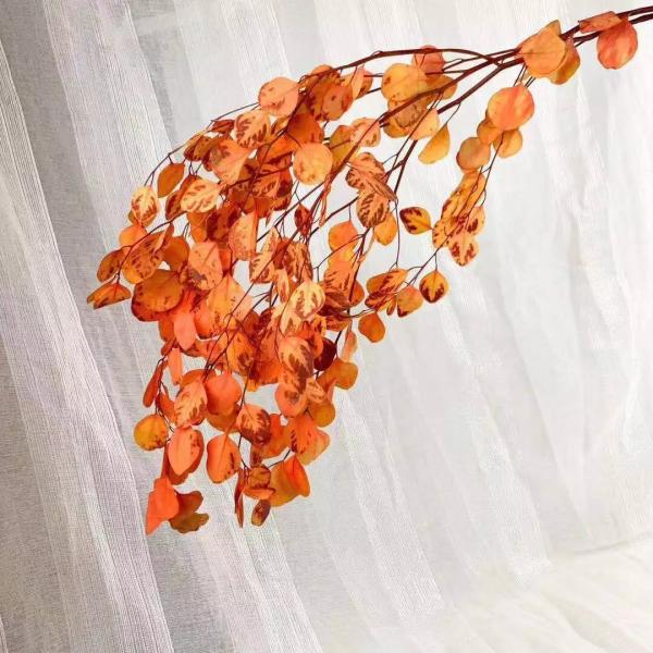 Wholesale preserved foliages preserved eucalyptus dry leaves gift rose