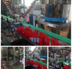China Full Automatic Bottle Filling Line Bubble Water Liquid Filling Machine Accurate Measurement on sale