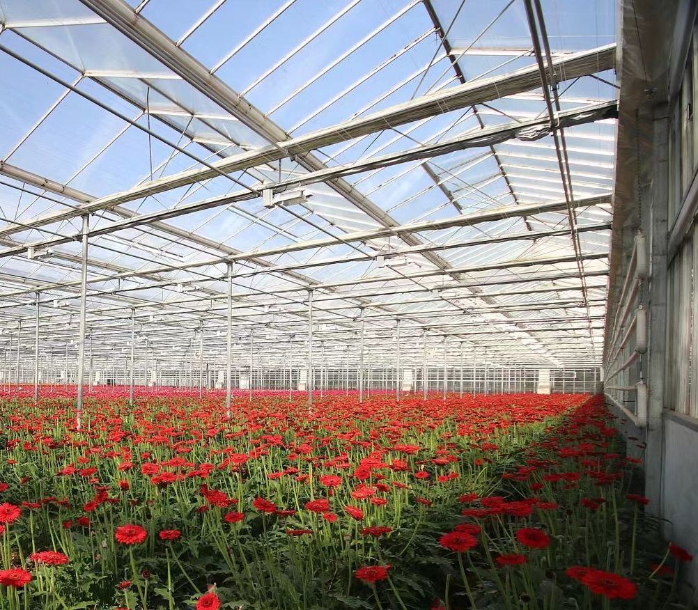 Commercial Heating Method Garden Glass Greenhouse