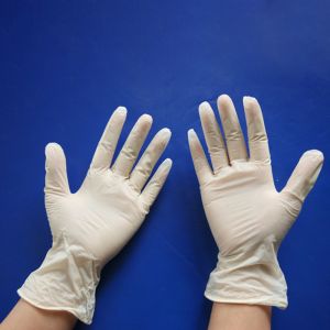 Quality Sterile Disposable Latex Gloves For Surgical / Dental / Hospital / Examination wholesale