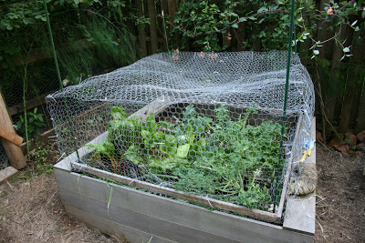 Anticorrosive 2.0mm Hexagonal Gabion Cage Galvanized Woven