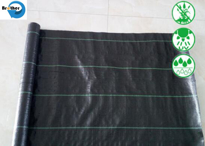 PP Black Fabric Ground Cover Weed Mat Weed Control for Plant Protection