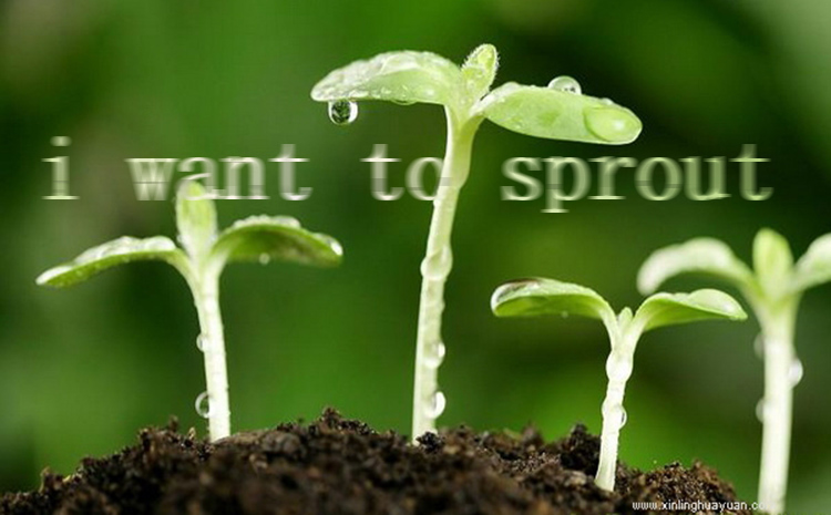 Hydroponic 12cm PS Plastic Nursery Pot 4L Light Weight Sweet Potato Plant Pot