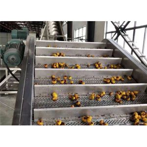 Quality Energy Saving Passion Fruit Processing Line Easy Operation CE Certificate wholesale