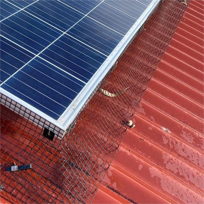 1/2 Inch Aperture PVC Welded Wire Mesh with Black Vinyl Coating for Solar Panel Protection