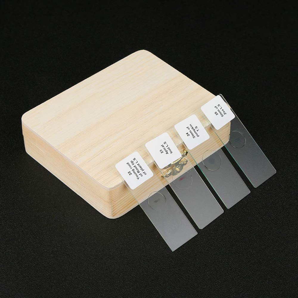 15 Pieces Mixed Botany Microscope Prepared Slides Set For Biology Education