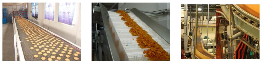 Spiral Accumulation Conveyor System for Cooling Bread