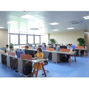 China Chips Star Semiconductor Co., Ltd.