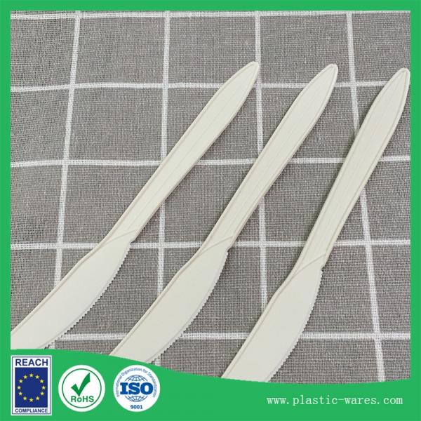 Cheap biodegradable disposable dinner knife no plastic for sale