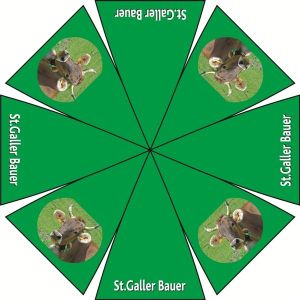 Quality Heat transfer umbrellas wholesale