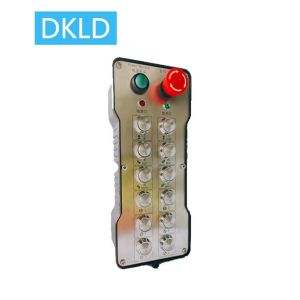 Quality Twelve-way dual speed switch industrial remote control wholesale