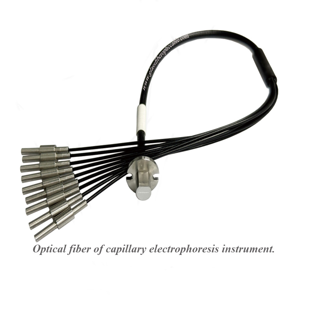 Polymerase chain reaction (PCR) instruments PCR Optical fibers Connect the optical detection components of PCR instruments