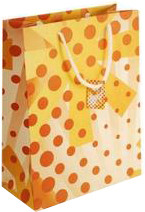 Various Logo Design Custom Printed Paper Bags With Carrying String