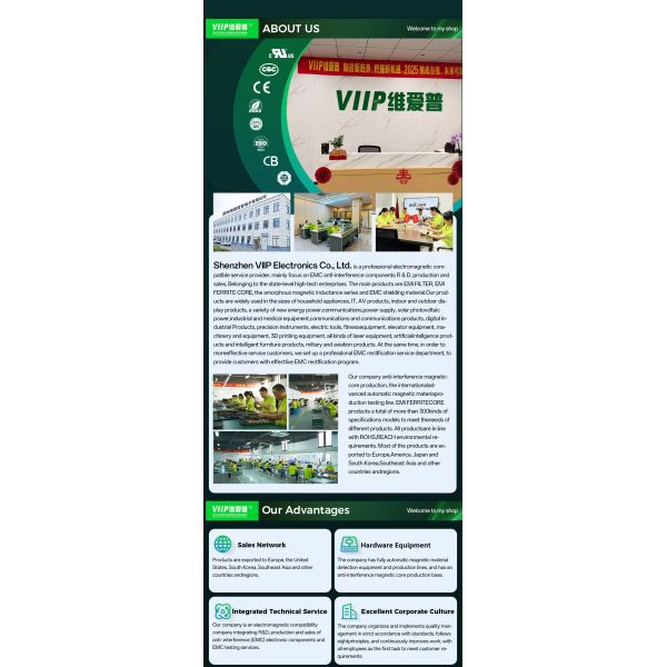 250VAC 40A Single Phase EMI Filter for Home Appliance Applications with AC Power Filtering