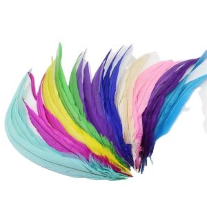 Quality Shipping DHL UPS FEDEX TNT Bleached Dyed Rooster Coque Feather wholesale