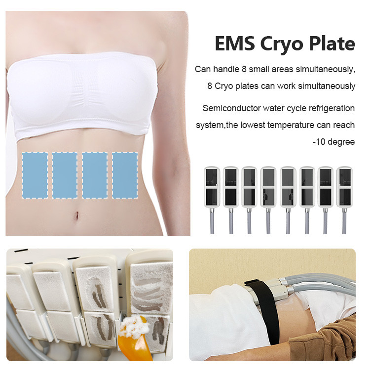 8 Plate 360 Cryolipolysis Cryo Fat Freezing Cryo Plate Weight Loss Machine