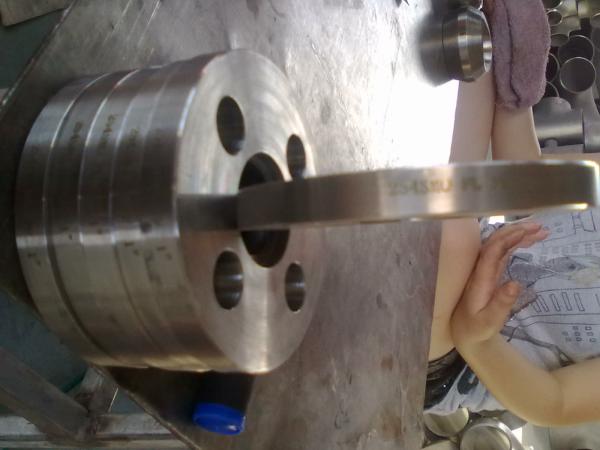 ASTM A182 F44 S31254 254SMO 1.4547 plate flange