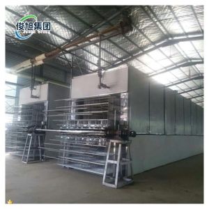 Professional Solution Wood Veneer Drying Machine For Manufacturing Process