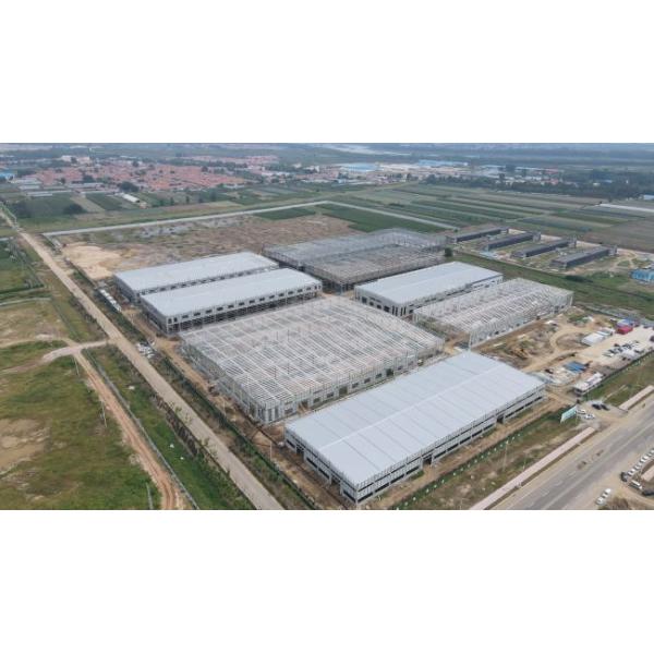 Q345B Q235B Prefab Light Steel Structure Construction Warehouse