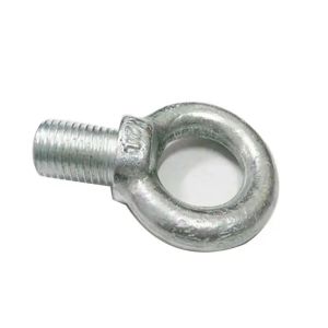 Stainless Steel Casting Step Bolts Screw