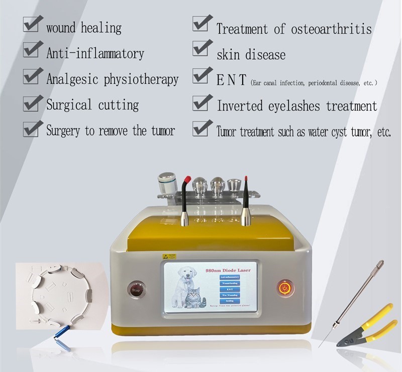980nm Diode Veterinary Laser Therapy For Pets Wound Healing