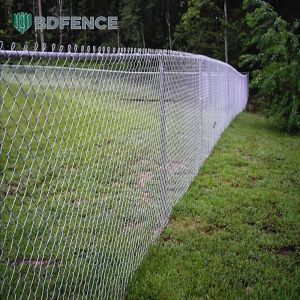 Quality Garden Border Chain Link Fence Rodent Barrier wholesale