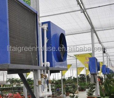 Multi Span Agriculture Greenhouse Height 3m Customized Length 50m