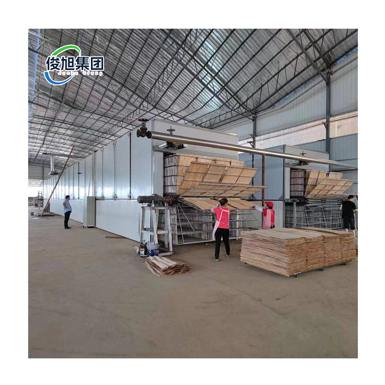 Customizable Drying Process Wood Veneer Production Dryer