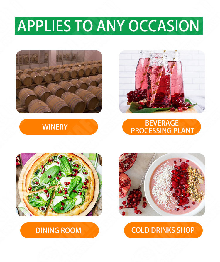 Pomegranate Seed Removal 3TPH Automatic Food Processing Machines