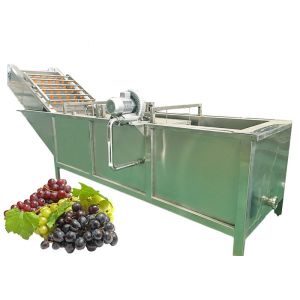 Quality Efficient Fruit Juice Manufacturing Plant Raisin Making Low Energy Consumption wholesale
