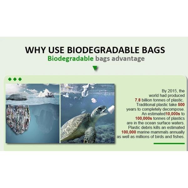 Promotional White EN13432 Certified Compostable shopping bag for supermarket, 100% compostable plastic t-shirt shopping