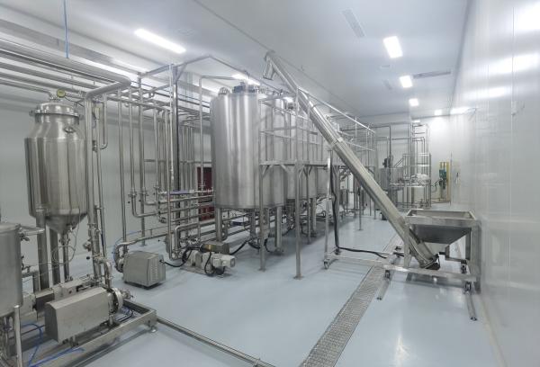 Industrial Pineapple Juice Processing Production Line Equipment Customized