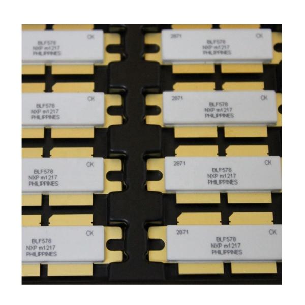 B57981S303F