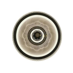 AC220v Round Remote Control Ceiling Fan Light D500*H150MM