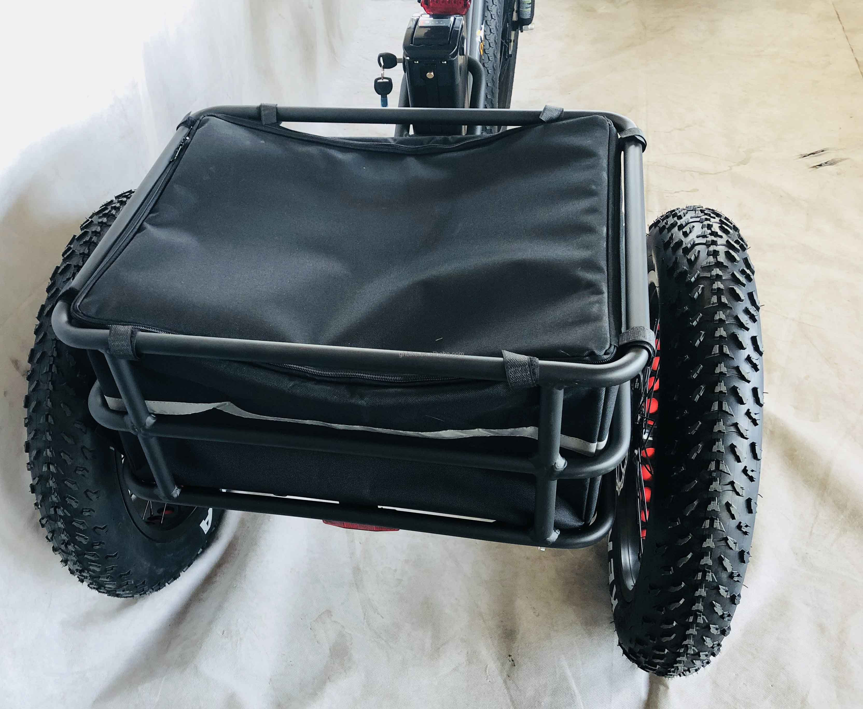 48V 750W Front Motor 24" Adult Electric Tricycle with 17AH Lithium Battery and Fat Snow Tires
