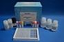 China REAGEN™ Aflatoxin m1 elisa kit on sale